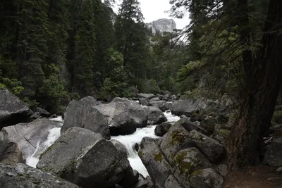 DSC_4699 (Large).JPG